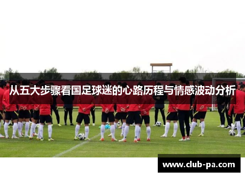 从五大步骤看国足球迷的心路历程与情感波动分析
