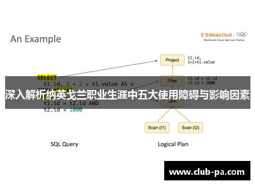 深入解析纳英戈兰职业生涯中五大使用障碍与影响因素