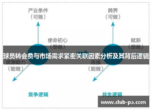球员转会费与市场需求紧密关联因素分析及其背后逻辑